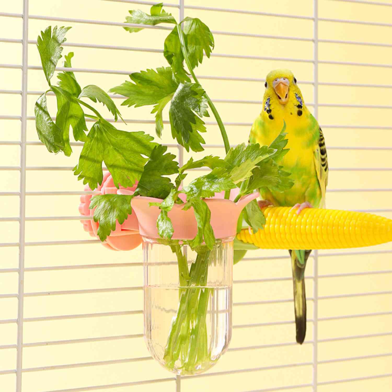 papegaai hydroponische fles met gele parkiet en selderij